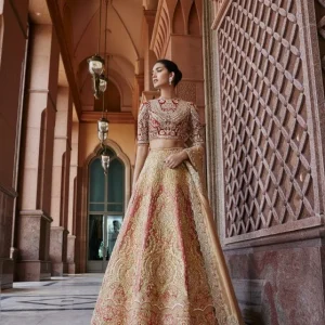 Bridal Suit - Lehanga & Peshwas